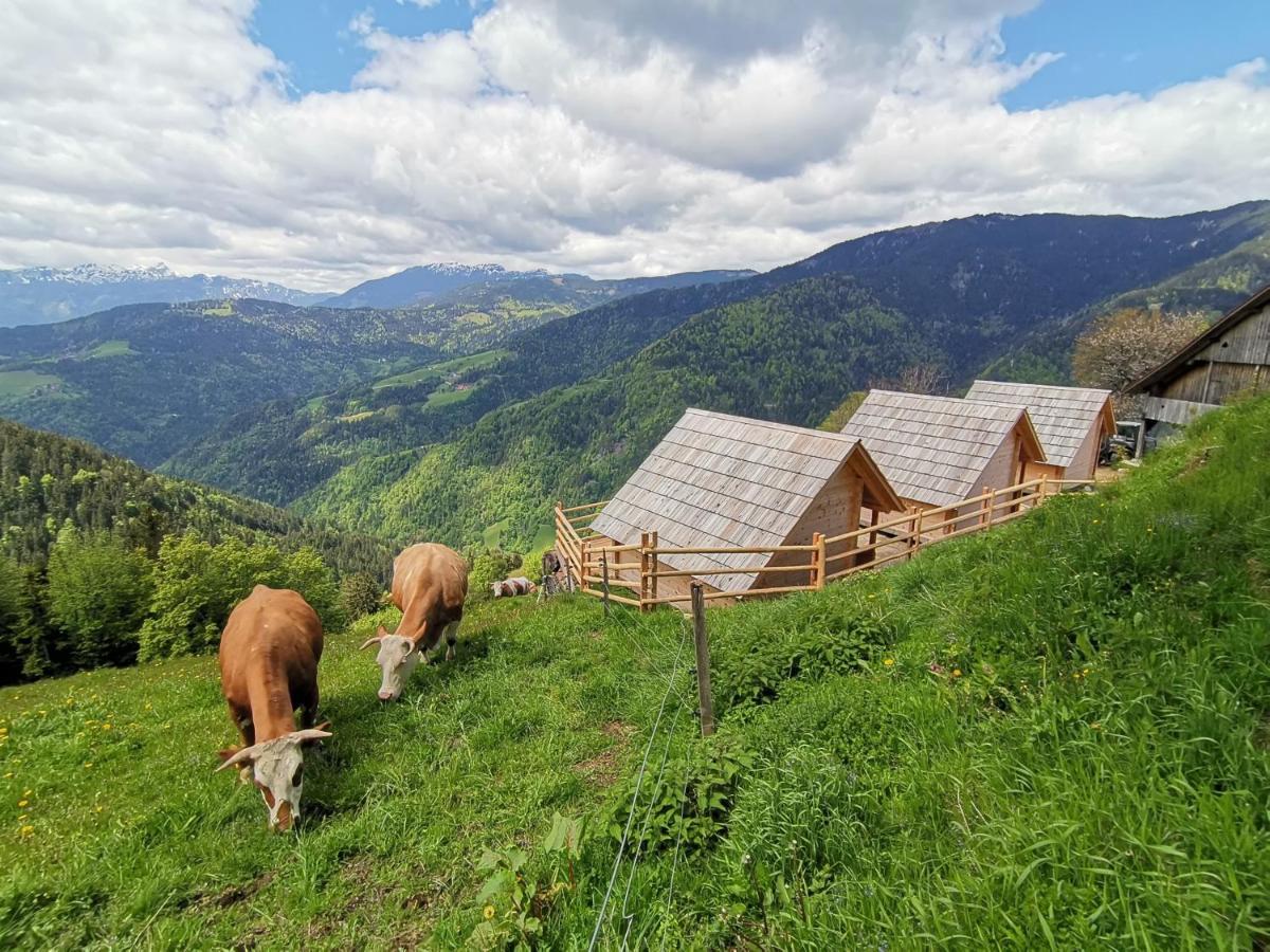 Farmstay&Glamping Visocnik Ljubno Екстериор снимка