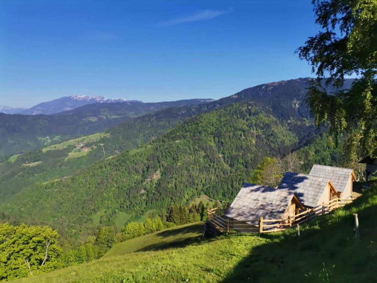 Farmstay&Glamping Visocnik Ljubno Екстериор снимка