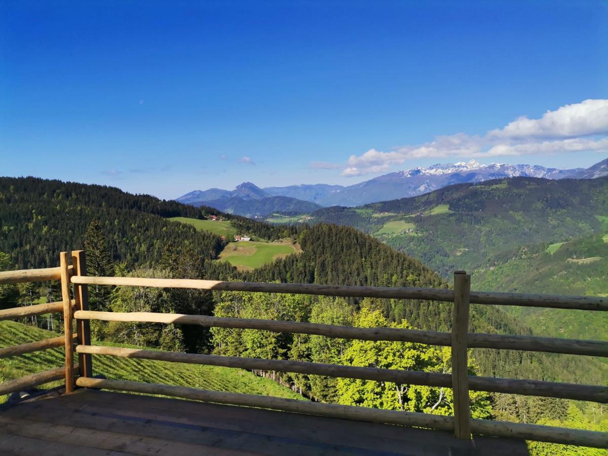 Farmstay&Glamping Visocnik Ljubno Екстериор снимка