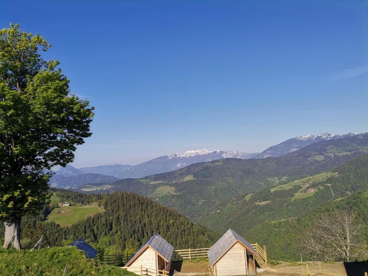 Farmstay&Glamping Visocnik Ljubno Екстериор снимка