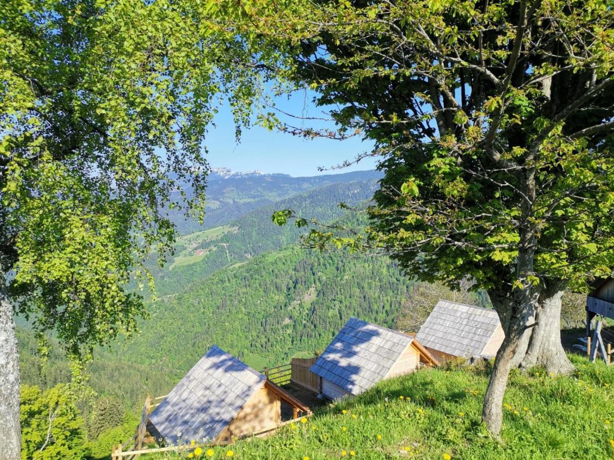 Farmstay&Glamping Visocnik Ljubno Екстериор снимка
