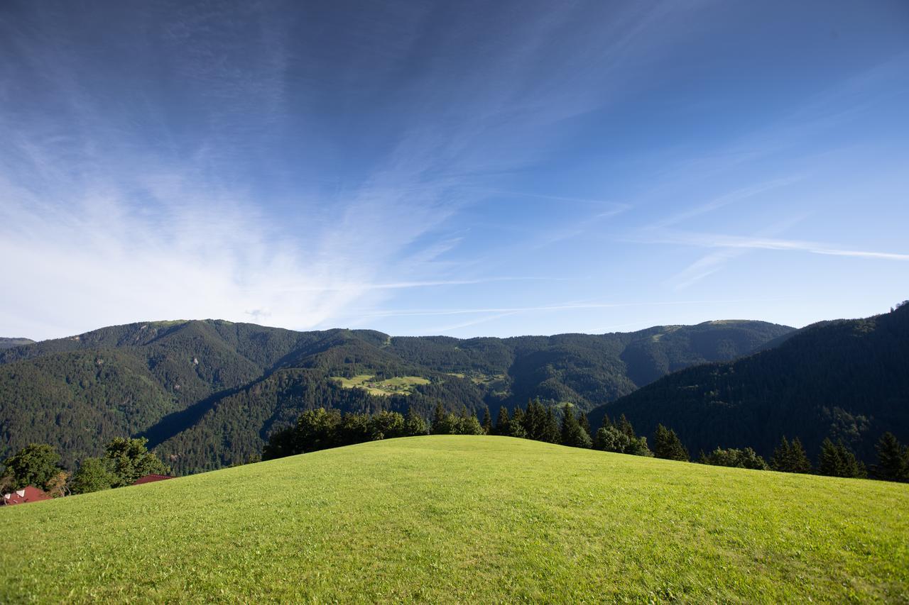 Farmstay&Glamping Visocnik Ljubno Екстериор снимка