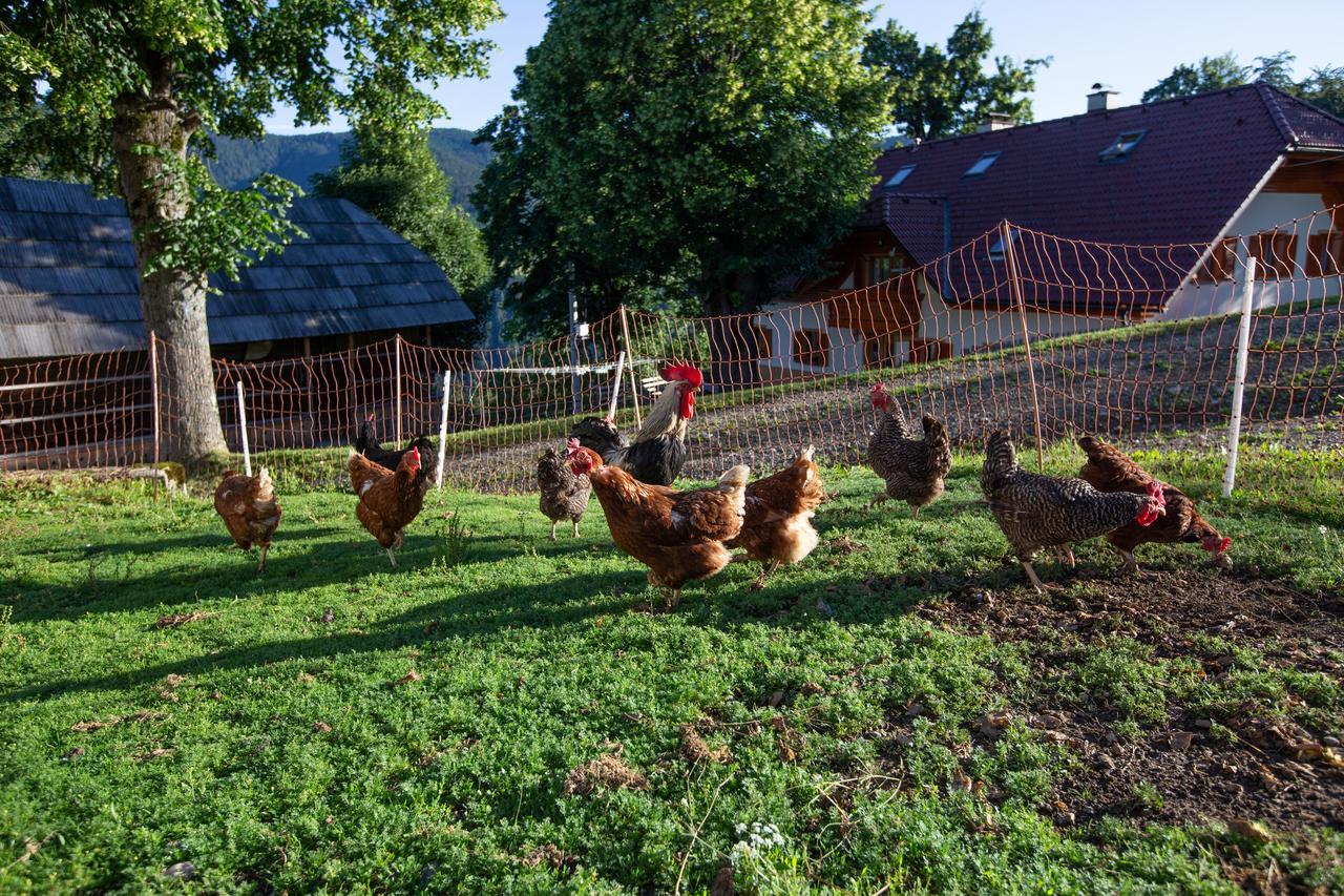 Farmstay&Glamping Visocnik Ljubno Екстериор снимка