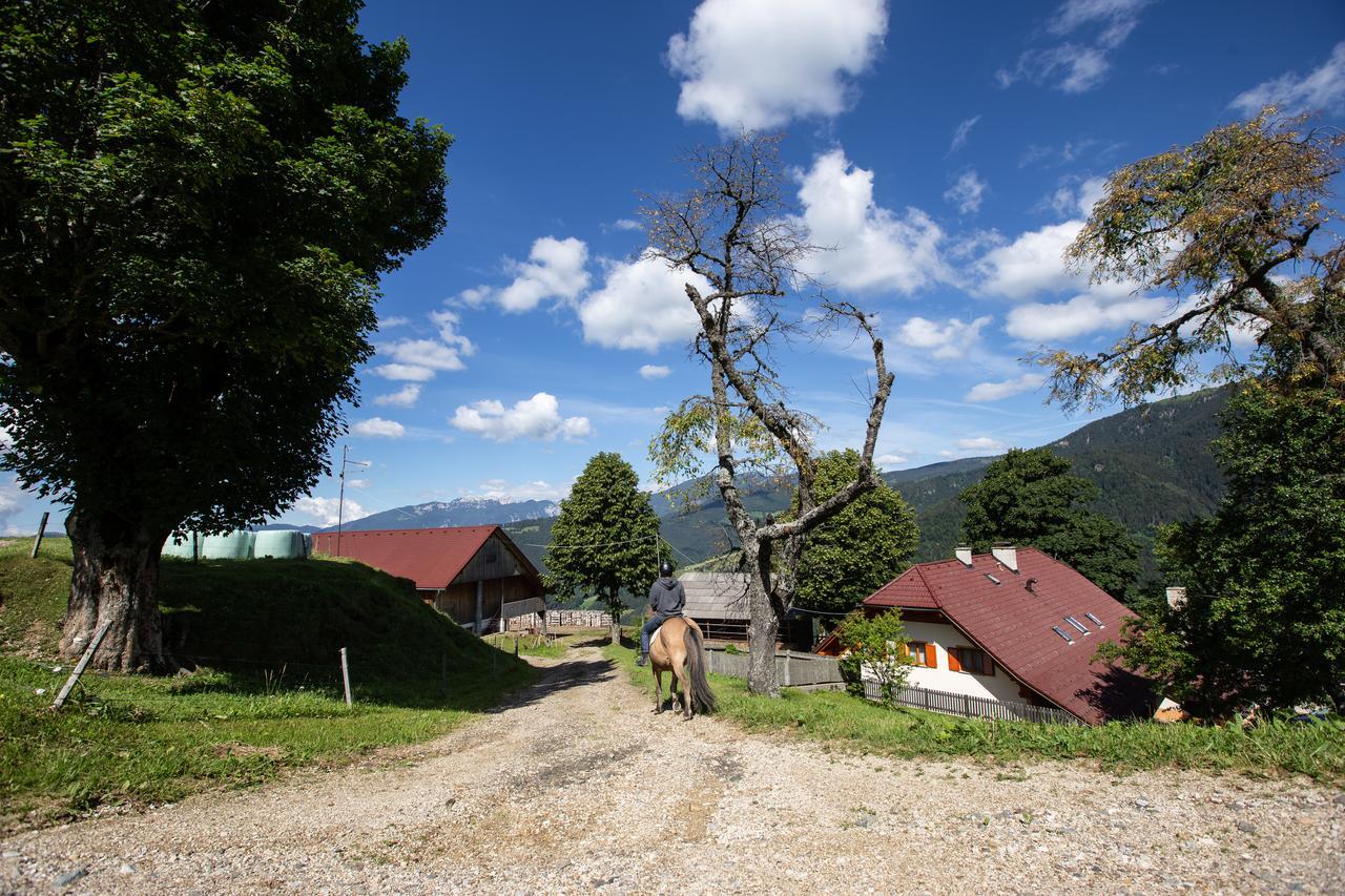 Farmstay&Glamping Visocnik Ljubno Екстериор снимка