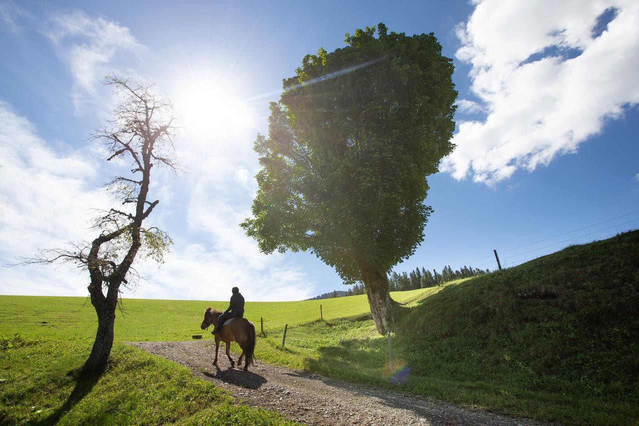 Farmstay&Glamping Visocnik Ljubno Екстериор снимка