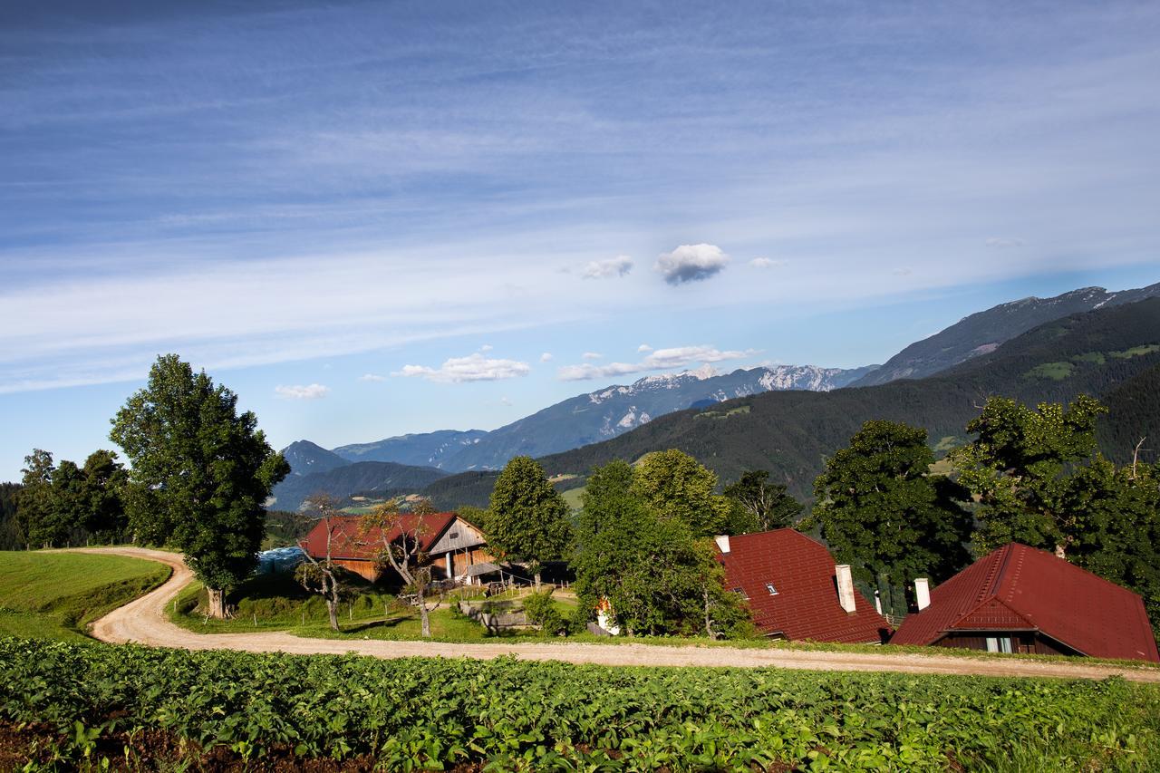 Farmstay&Glamping Visocnik Ljubno Екстериор снимка