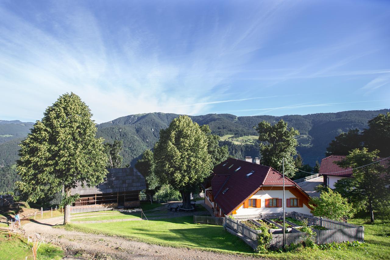 Farmstay&Glamping Visocnik Ljubno Екстериор снимка