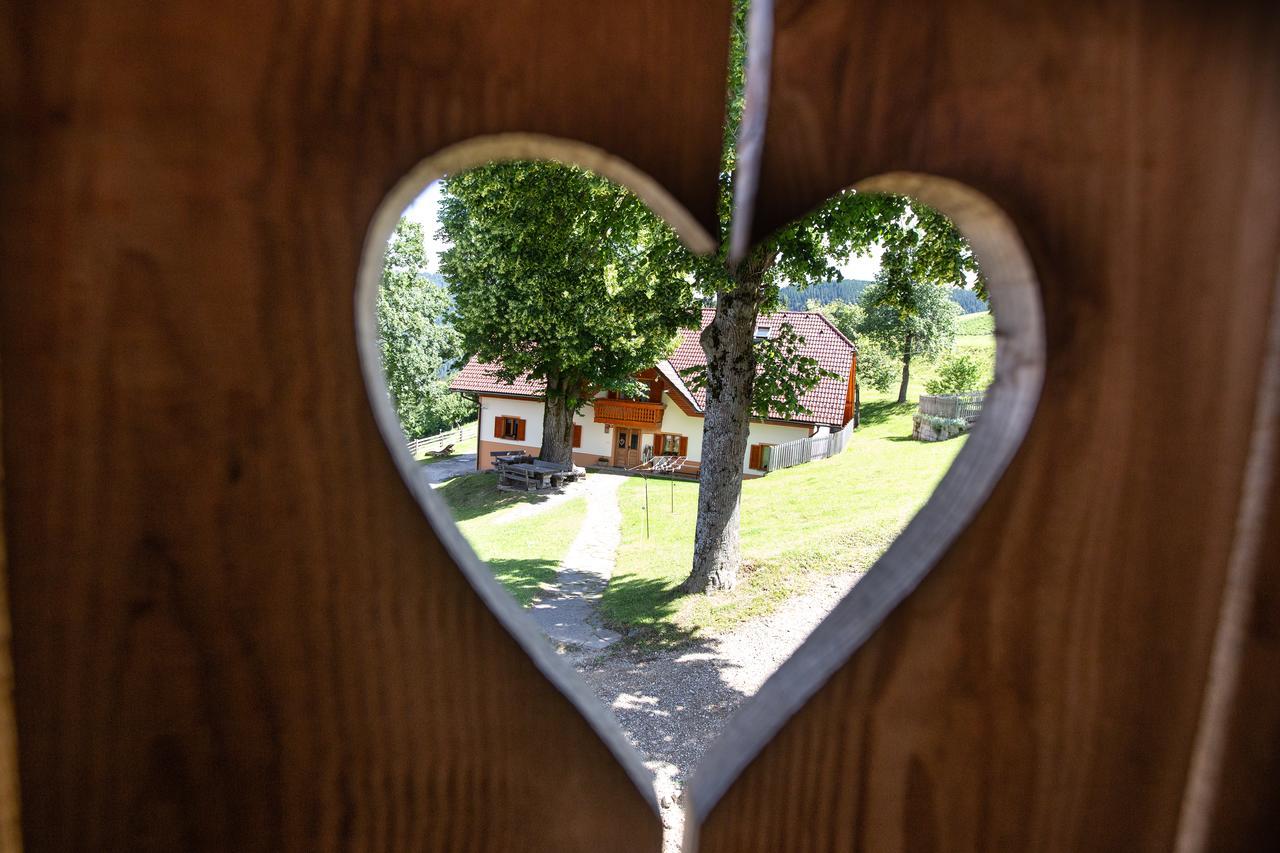 Farmstay&Glamping Visocnik Ljubno Екстериор снимка
