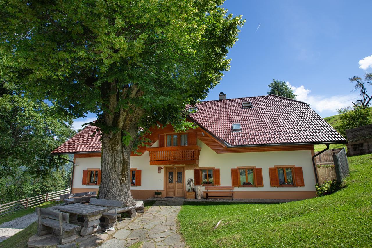 Farmstay&Glamping Visocnik Ljubno Екстериор снимка
