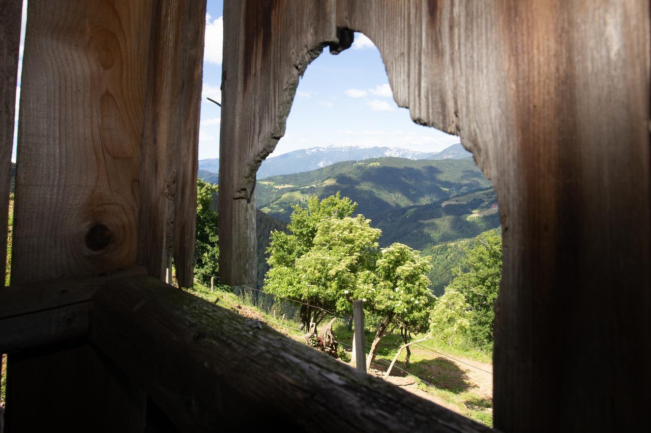 Farmstay&Glamping Visocnik Ljubno Екстериор снимка