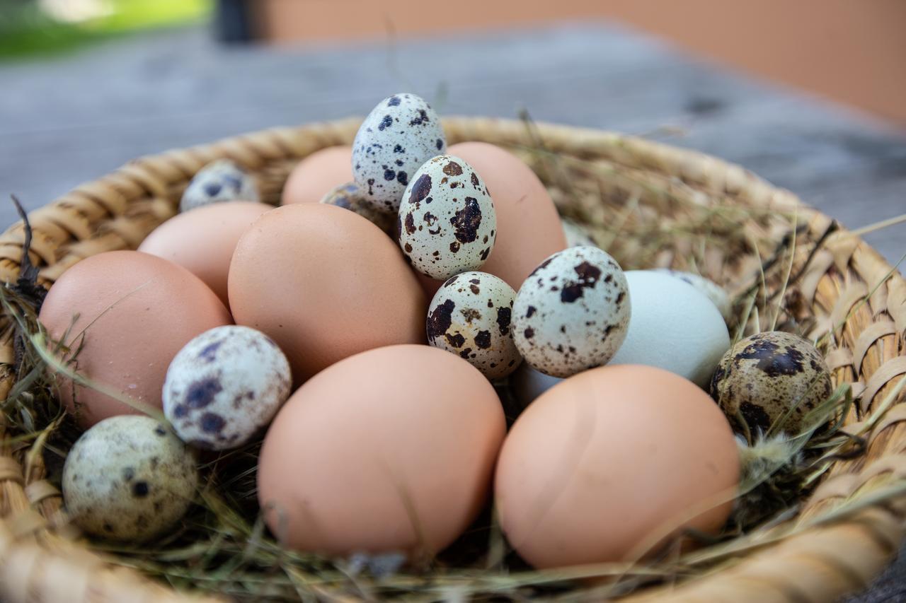 Farmstay&Glamping Visocnik Ljubno Екстериор снимка