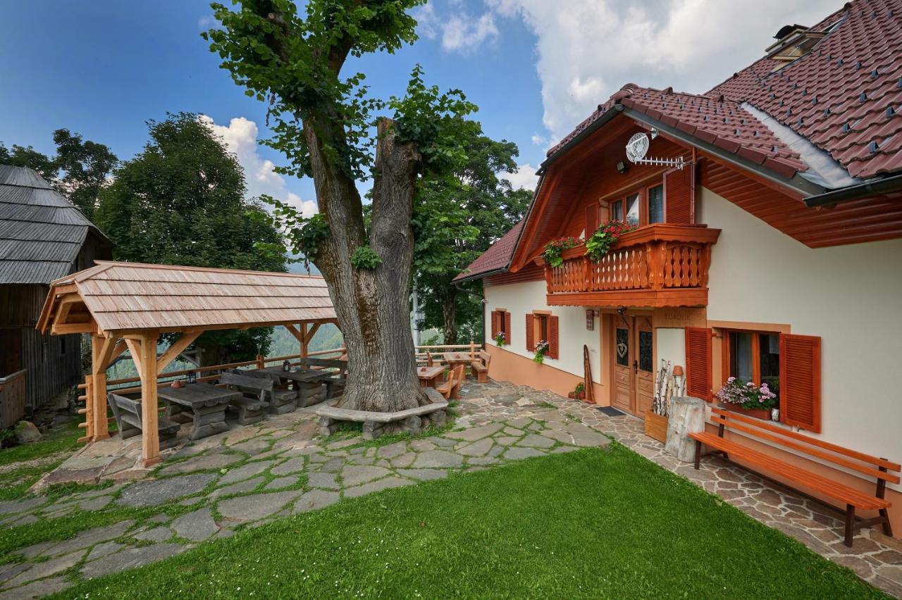 Farmstay&Glamping Visocnik Ljubno Екстериор снимка