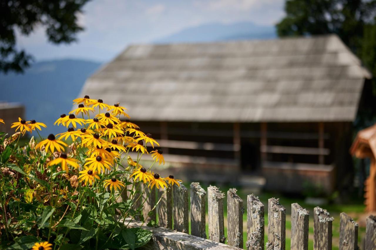 Farmstay&Glamping Visocnik Ljubno Екстериор снимка