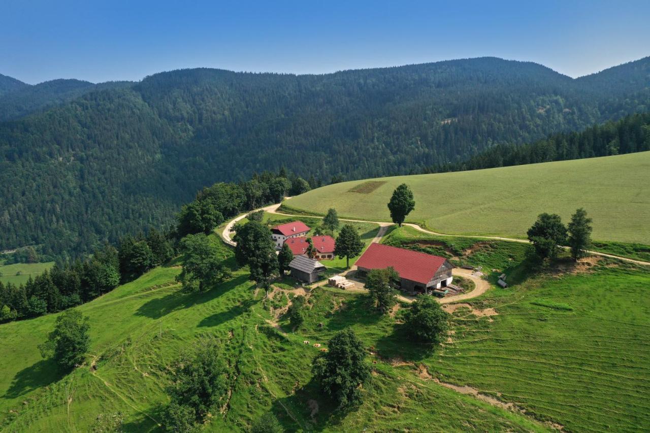 Farmstay&Glamping Visocnik Ljubno Екстериор снимка