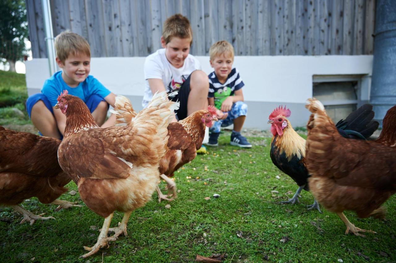 Farmstay&Glamping Visocnik Ljubno Екстериор снимка