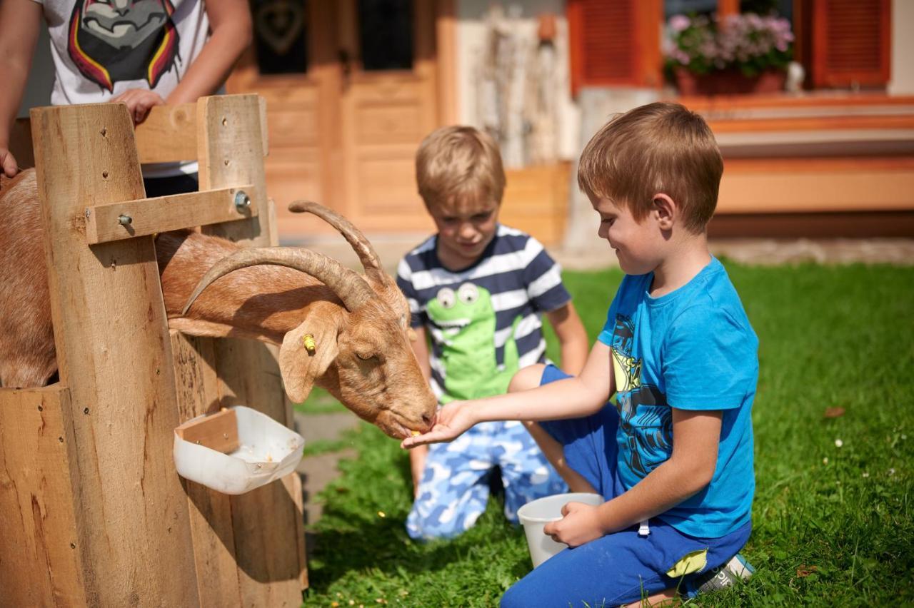 Farmstay&Glamping Visocnik Ljubno Екстериор снимка